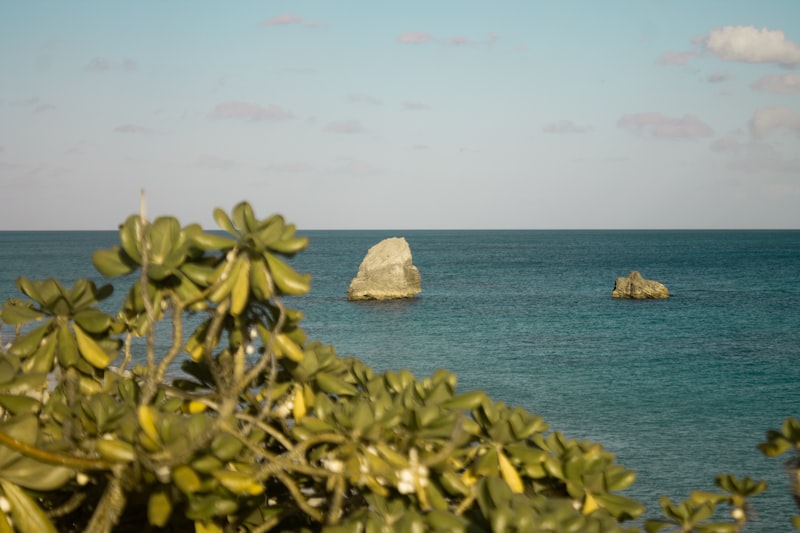 Bermuda