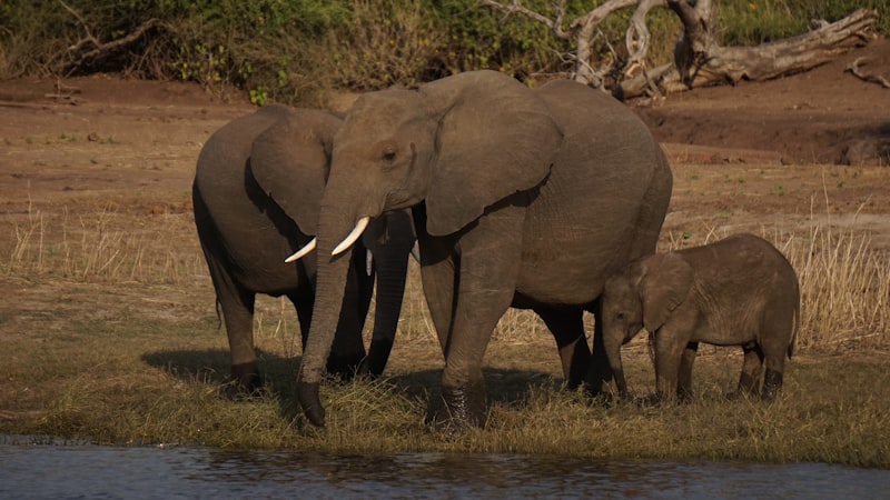 Botswana