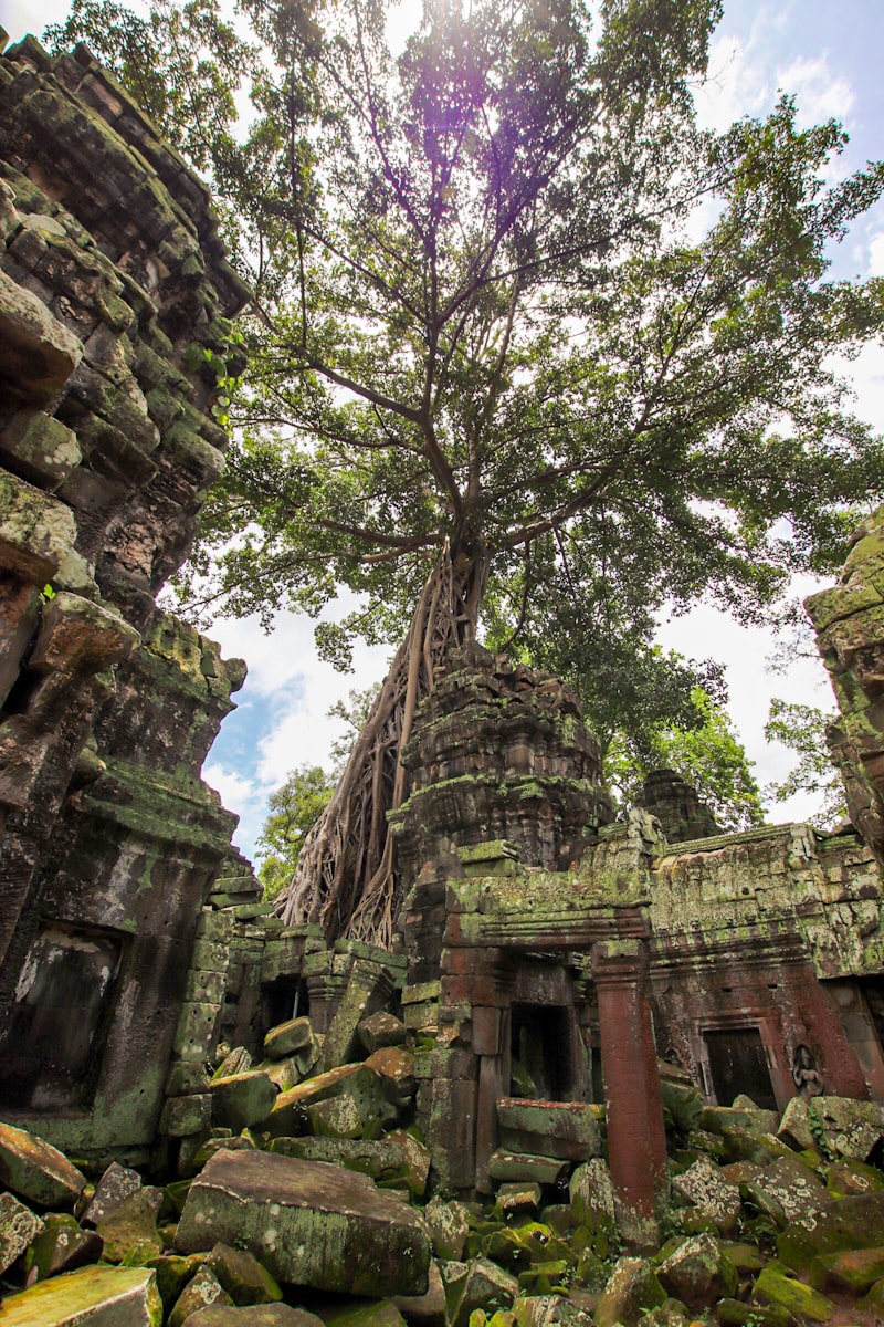 Cambodia