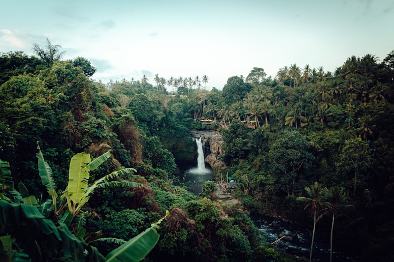 Madagascar