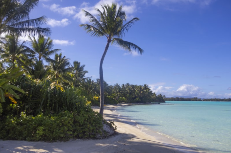 French Polynesia